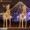 Load image into Gallery viewer, Custom outdoor christmas decorations 3D motif led lights for outdoor street decoration