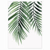 Load image into Gallery viewer, Tropical Plants Poster