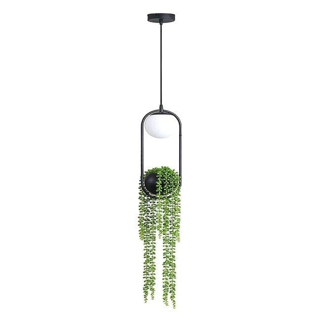 Plant pendant for indoor