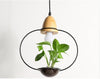 Clean Nordic Metal Pendant Planter Lamp