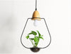 Pendant Light with Nordic Metal Plant Lamp