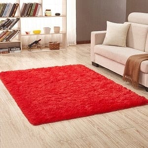 RULDGEE Shaggy Carpet for Living Room