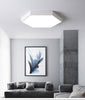 Load image into Gallery viewer, Modern LED hexagon ceiling light-1